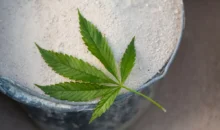 concreto de cannabis