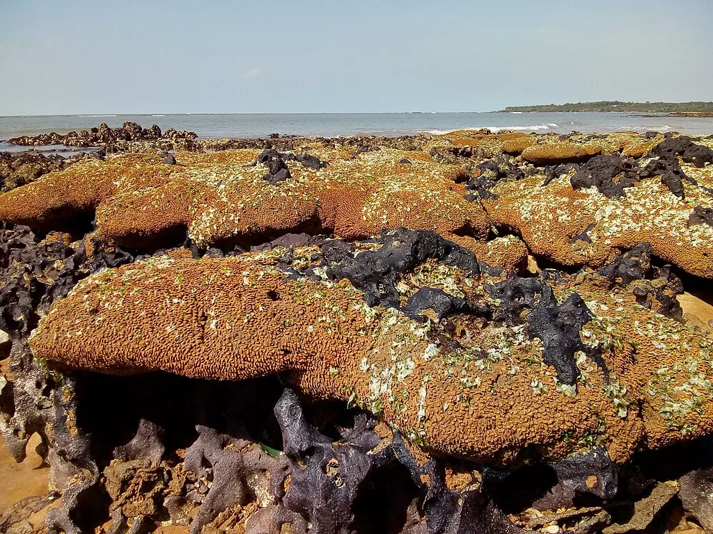 aumento do nível do mar