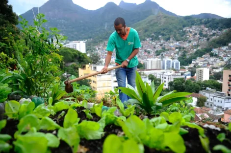 Política Nacional de Agricultura Urbana