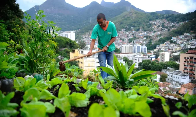 Política Nacional de Agricultura Urbana