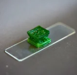 material de construção vivo