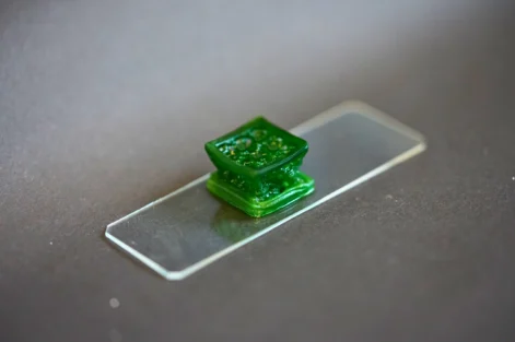 material de construção vivo