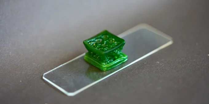 material de construção vivo