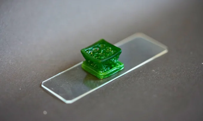 material de construção vivo