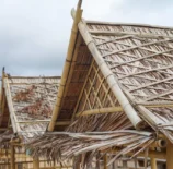sustentabilidade colonialista