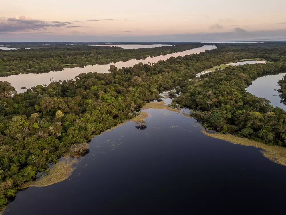 Imagem aérea da Floresta Amazônica com rios serpenteando na floresta exuberante, destacando iniciativas promissoras para o financiamento climático na região.