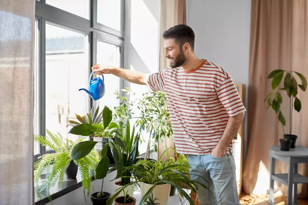 Homem sorridente regando plantas em ambiente interno bem iluminado com luz natural através de janelas grandes, decoração moderna e plantas variadas.