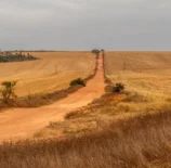 Cenário de desmatamento e degradação ambiental em uma paisagem agrícola, representando os desafios da justiça climática e os impactos das mudanças climáticas na terra.