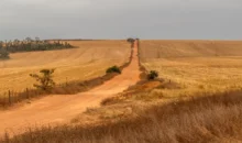 Cenário de desmatamento e degradação ambiental em uma paisagem agrícola, representando os desafios da justiça climática e os impactos das mudanças climáticas na terra.