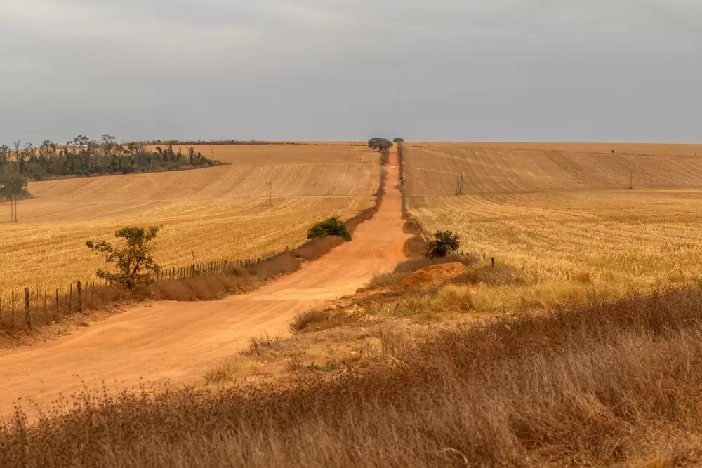 Cenário de desmatamento e degradação ambiental em uma paisagem agrícola, representando os desafios da justiça climática e os impactos das mudanças climáticas na terra.