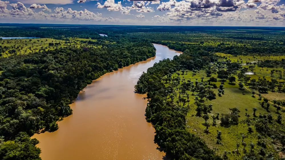 Vista aérea do Rio Amazonas na Ilha do Marajó em Salvaterra, mostrando uma extensa área de vegetação verde e um rio sinuoso, ideal para quem busca um refúgio verde na Amazônia.