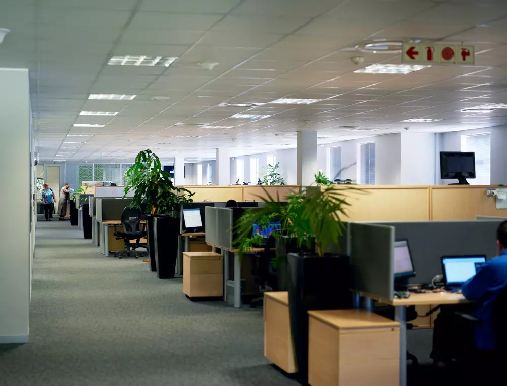 Ambiente de escritório com computadores e plantas, ilustrando a preocupação com a Síndrome do Edifício Doente e seus efeitos na saúde dos trabalhadores.