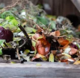 Resíduos orgânicos variados, incluindo folhas, frutas e galhos, em processo de decomposição para compostagem.