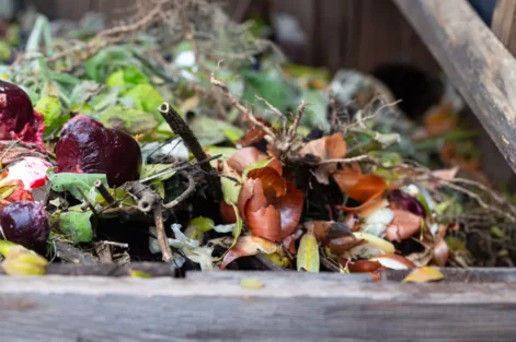Resíduos orgânicos variados, incluindo folhas, frutas e galhos, em processo de decomposição para compostagem.