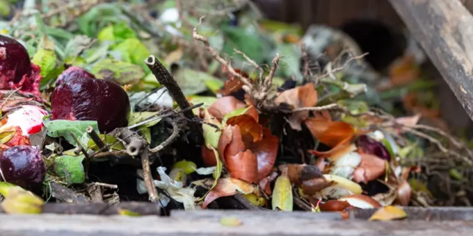 Resíduos orgânicos variados, incluindo folhas, frutas e galhos, em processo de decomposição para compostagem.