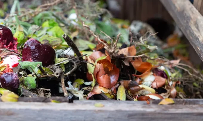 Resíduos orgânicos variados, incluindo folhas, frutas e galhos, em processo de decomposição para compostagem.