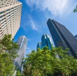 Arranha-céus modernos em uma área urbana, com árvores verdes na frente e céu azul ao fundo, destacando a importância do Estatuto da Cidade na organização urbana.