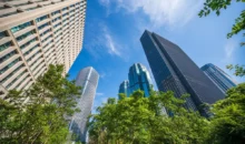 Arranha-céus modernos em uma área urbana, com árvores verdes na frente e céu azul ao fundo, destacando a importância do Estatuto da Cidade na organização urbana.