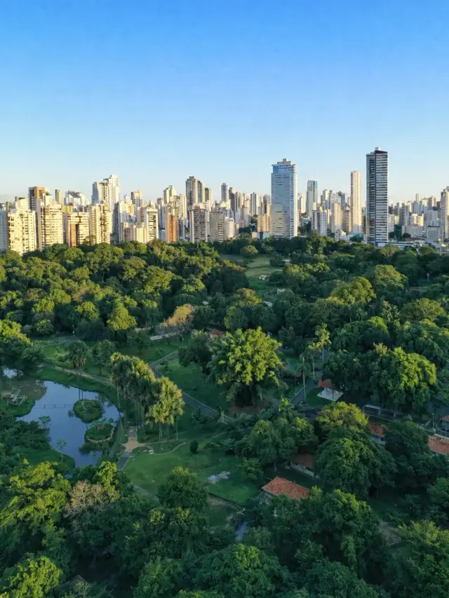 webstory cidades arborizadas (3)