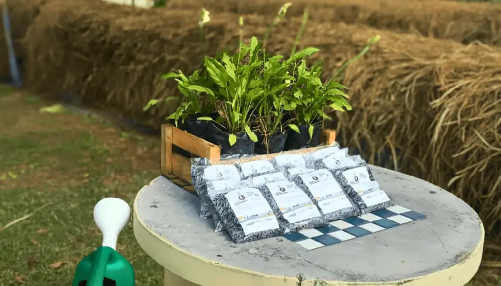 Uma plantação de hortaliças sustentável em São Paulo com pacotes de fertilizante