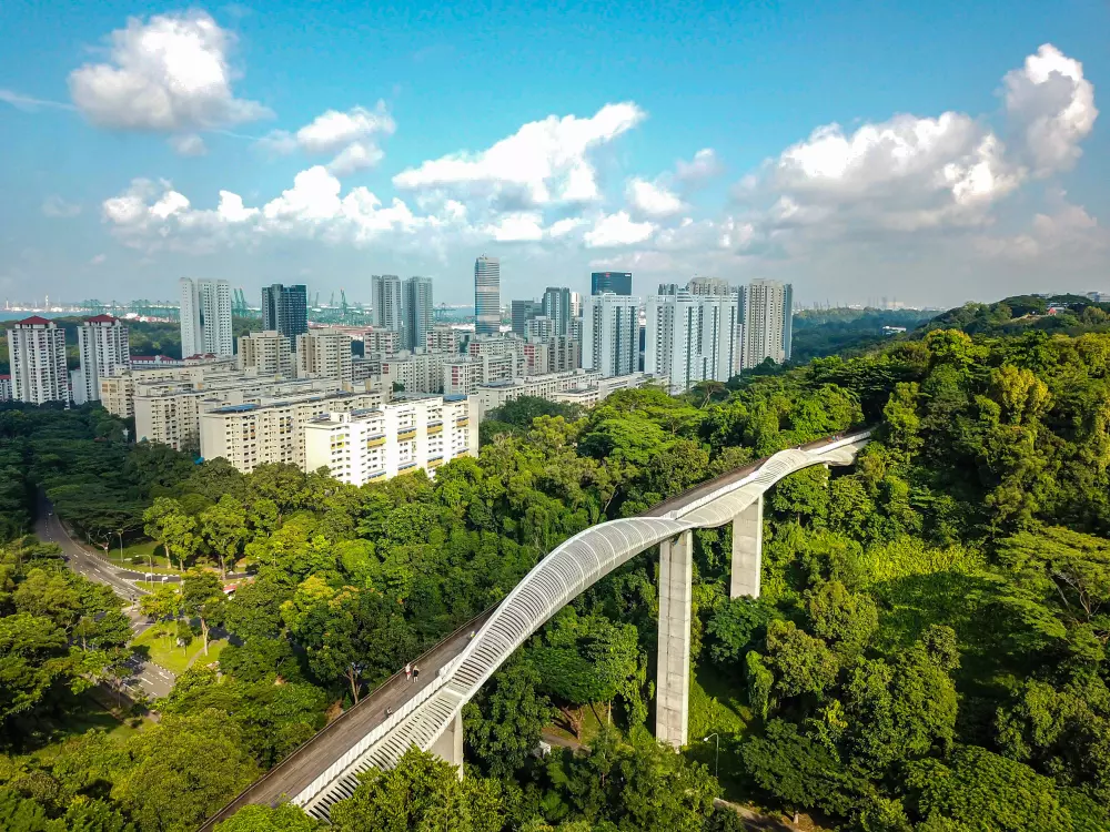 Vista aérea da Henderson Waves em Singapura, uma ponte-jardim de design ondulado que cruza a floresta conectando parques urbanos.